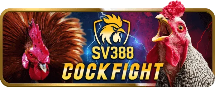 Ưu đãi đăng ký tài khoản mới 7ball code