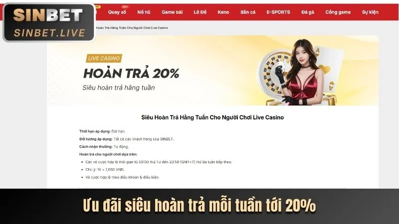 Chương trình VIP và điểm thưởng đặc biệt của 7ball code